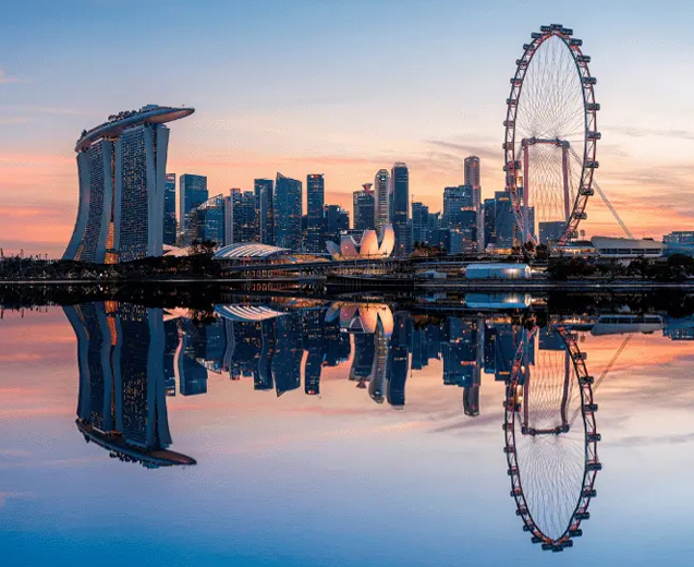 Singapore company incorporation support from India